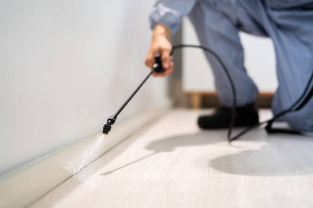 Rodent Entry Point Assessment in Sunset Beach