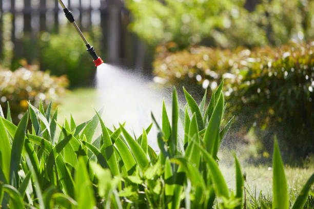 Tamper-Resistant Bait Stations for Rodents in Sunset Beach