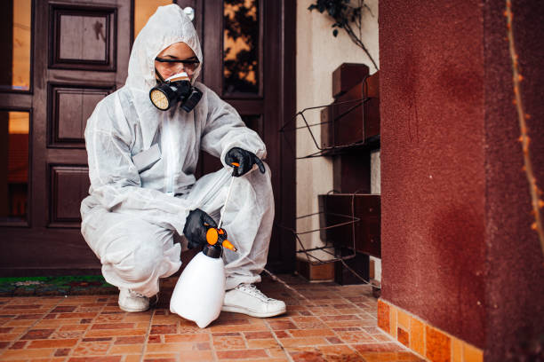 Attic and Crawl Space Rodent Treatment in Sunset Beach