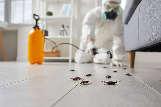 Commercial Rodent Management in Sunset Beach